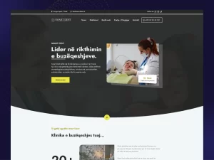 portofolio website faqe interneti - BOS Marketing 10